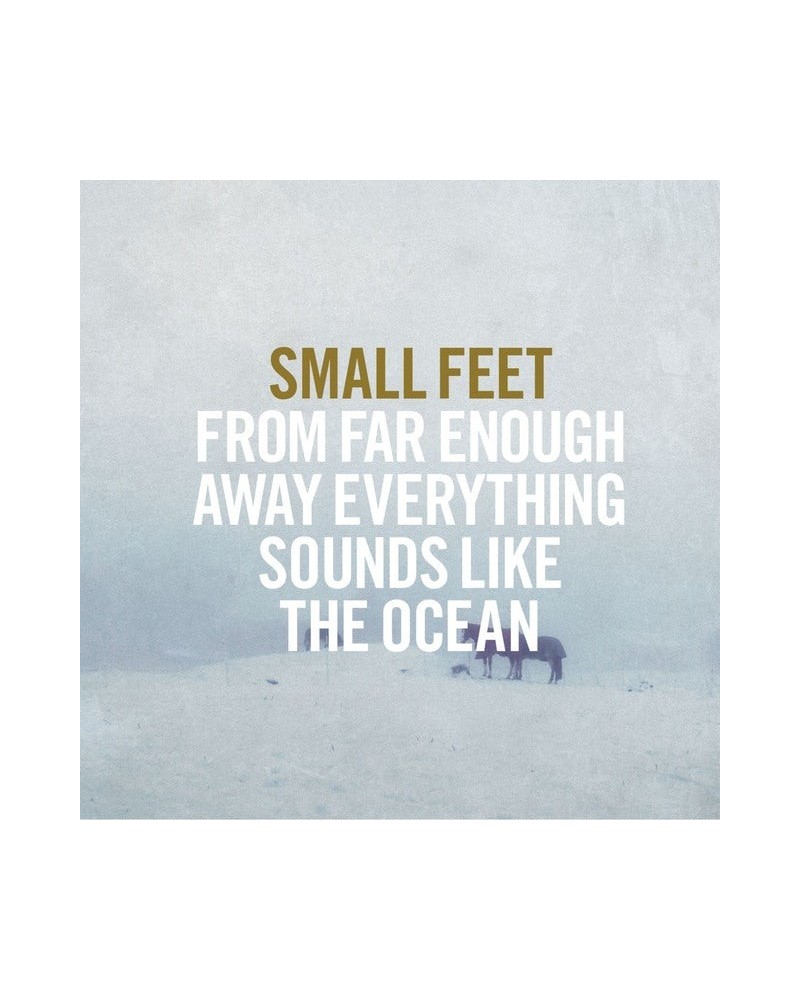 Small Feet From Far Enough Away Everything Sounds L Vinyl Record $5.50 Vinyl