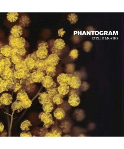 Phantogram Eyelid Movies Vinyl Record $8.22 Vinyl