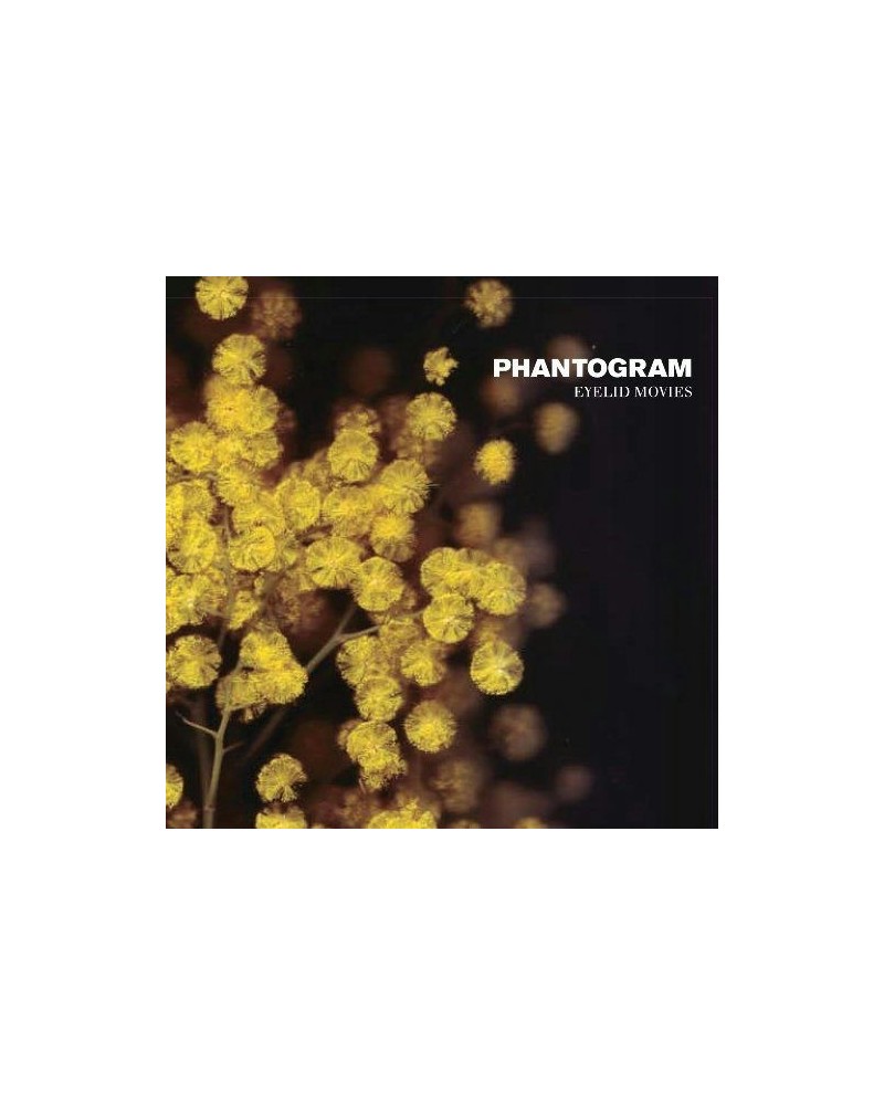 Phantogram Eyelid Movies Vinyl Record $8.22 Vinyl