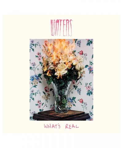 WATERS Whats Real Vinyl Record $8.12 Vinyl