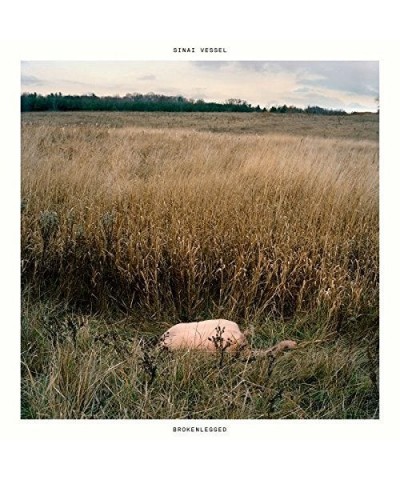 Sinai Vessel Brokenlegged Vinyl Record $7.52 Vinyl