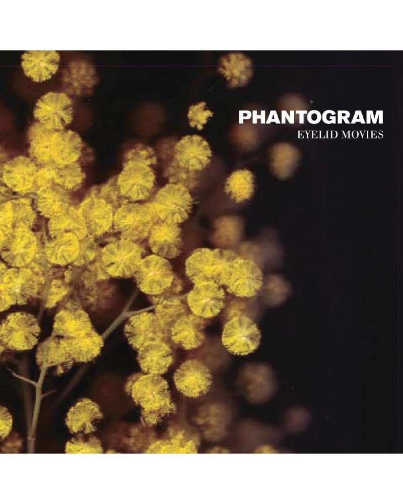 Phantogram Eyelid Movies Vinyl Record $9.60 Vinyl