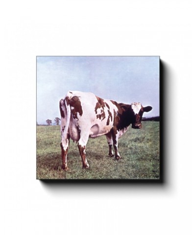 Pink Floyd Wall Art | Atom Heart Mother Album Cover Canvas Wrap $14.99 Decor