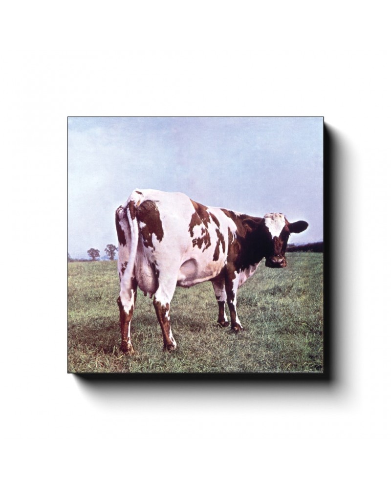 Pink Floyd Wall Art | Atom Heart Mother Album Cover Canvas Wrap $14.99 Decor