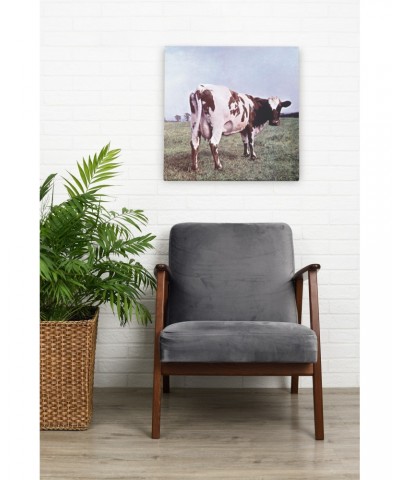 Pink Floyd Wall Art | Atom Heart Mother Album Cover Canvas Wrap $14.99 Decor