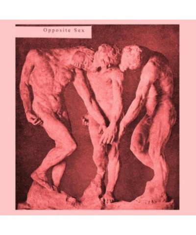 Opposite Sex Vinyl Record $9.60 Vinyl